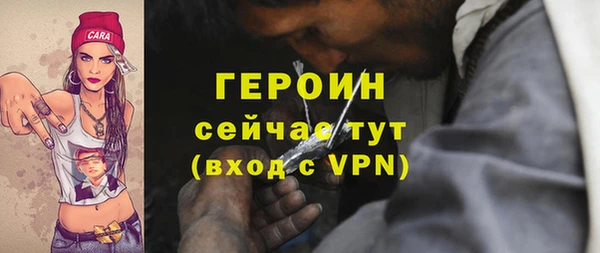 дурь Няндома