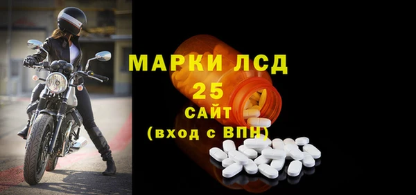 дурь Няндома