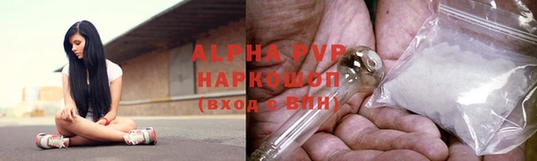 дурь Няндома