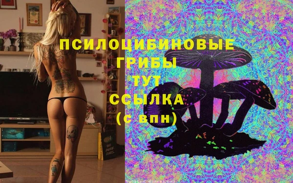 дурь Няндома