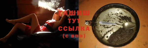 дурь Няндома