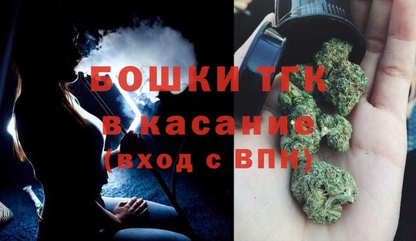 дурь Няндома